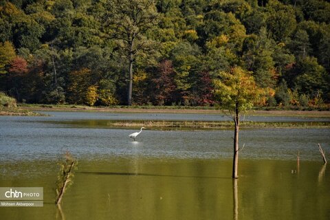 الندان، پس از باران