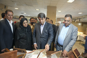 طنین رنگ، هنر و فرهنگ؛ افتتاح هفدهمین نمایشگاه ملی صنایع‌دستی کرمان