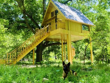 فیروزکوه پیشتاز توسعه اقامتگاه‌های بوم‌گردی در استان تهران