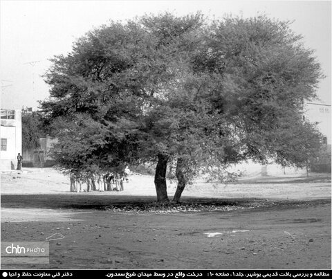 عکس‌های بافت قدیمی بوشهر، پنجره ای به گذشته اند، جایی که خانه‌های چوبی و بادگیرهای خاموش هنوز از شور زندگی در کنار دریا سخن می گویند.