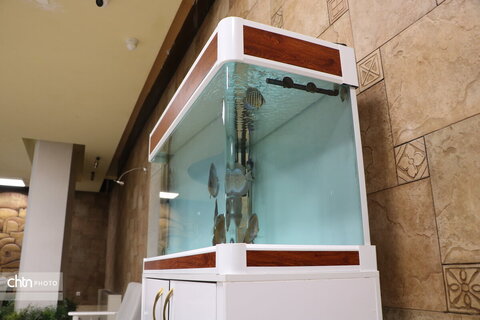 بررسی وضعیت تأسیسات گردشگری ایلام در بازدید میدانی مدیرکل میراث‌فرهنگی استان