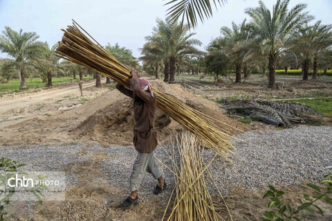 مضیف میراث فرهنگی ناملموس خوزستان