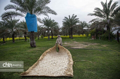 مضیف میراث فرهنگی ناملموس خوزستان