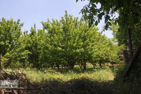 روستای خوران
