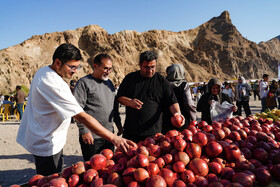 دومین رویداد فرهنگی و گردشگری انار نمهیل