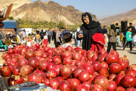 دومین رویداد فرهنگی و گردشگری انار نمهیل