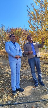 اعلام آمادگی یک سرمایه‌گذار برای اجرای طرح بزرگ گردشگری در شهرستان دنا