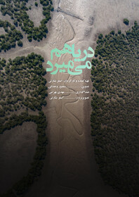 پایان تصویربرداری مستند «دریا هم می‌میرد» در جزیره قشم