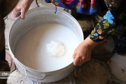 مراحل تولید سنتی کره حیوانی