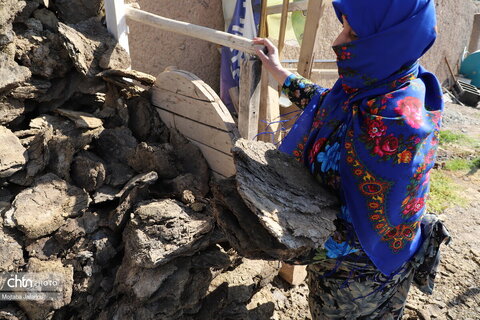 مراحل تولید سنتی کره حیوانی