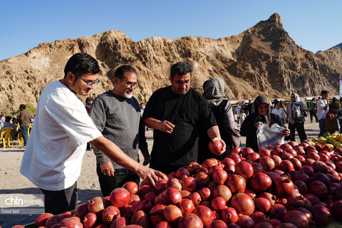 دومین رویداد فرهنگی و گردشگری انار نمهیل