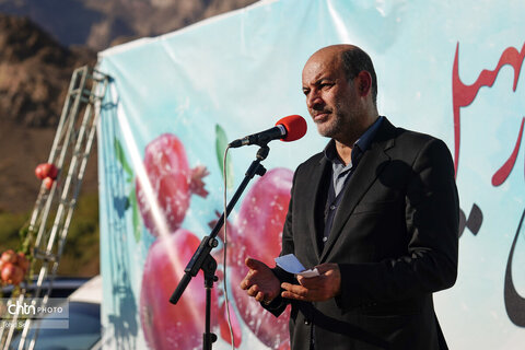 دومین رویداد فرهنگی و گردشگری انار نمهیل