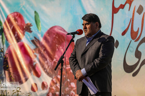 دومین رویداد فرهنگی و گردشگری انار نمهیل