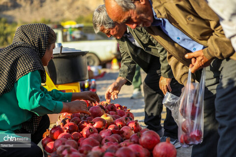 دومین رویداد فرهنگی و گردشگری انار نمهیل
