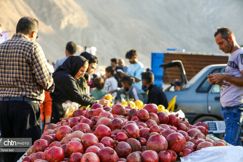 دومین رویداد فرهنگی و گردشگری انار نمهیل
