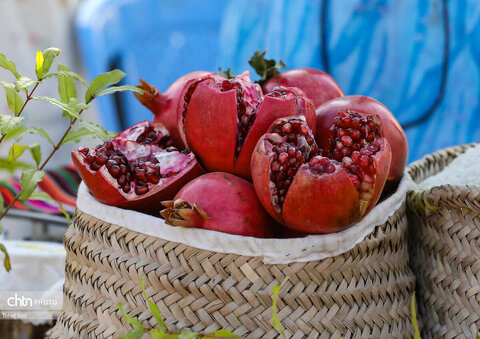 دومین رویداد فرهنگی و گردشگری انار نمهیل