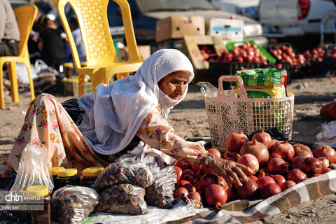 دومین رویداد فرهنگی و گردشگری انار نمهیل