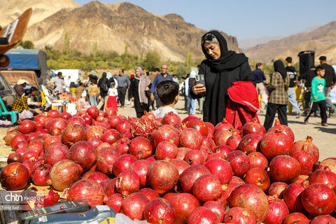 دومین رویداد فرهنگی و گردشگری انار نمهیل