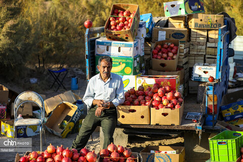 دومین رویداد فرهنگی و گردشگری انار نمهیل