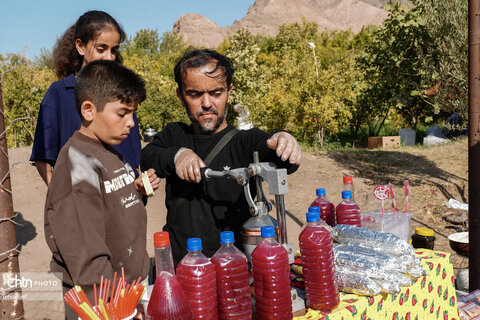 دومین رویداد فرهنگی و گردشگری انار نمهیل