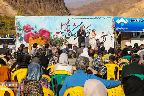 دومین رویداد فرهنگی و گردشگری انار نمهیل