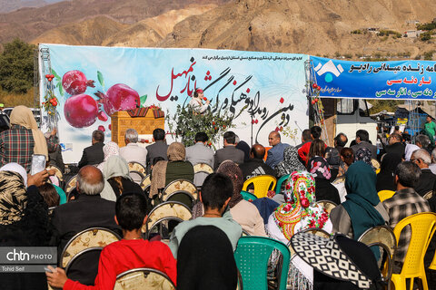 دومین رویداد فرهنگی و گردشگری انار نمهیل