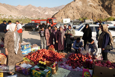 دومین رویداد فرهنگی و گردشگری انار نمهیل