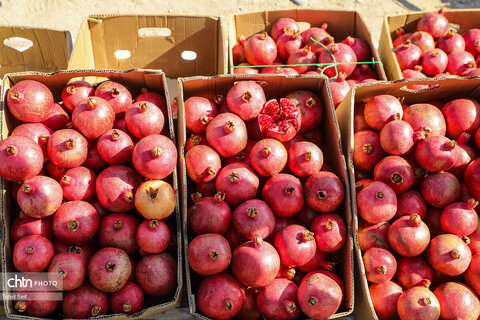 دومین رویداد فرهنگی و گردشگری انار نمهیل