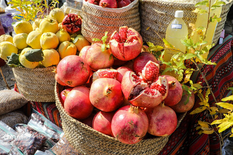 دومین رویداد فرهنگی و گردشگری انار نمهیل