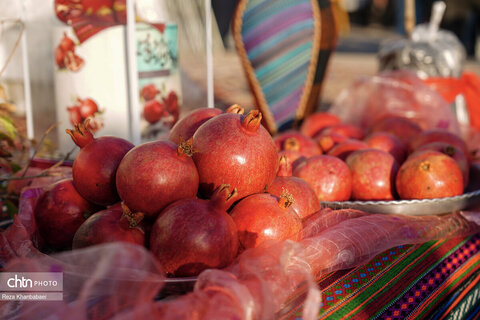 باغات انار روستای نمهیل