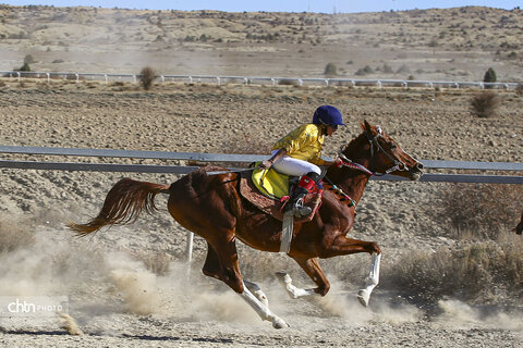 رقابت اسب‌های اصیل ترکمن در باغلق راز و جرگلان