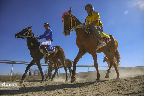 رقابت اسب‌های اصیل ترکمن در باغلق راز و جرگلان