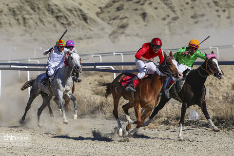 رقابت اسب‌های اصیل ترکمن در باغلق راز و جرگلان