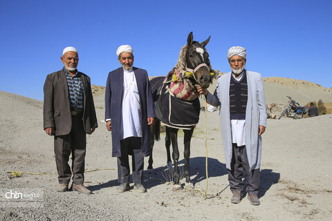 رقابت اسب‌های اصیل ترکمن در باغلق راز و جرگلان