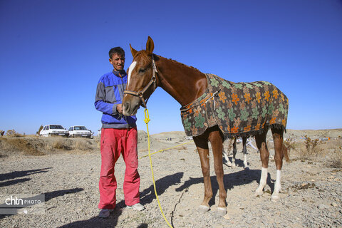 رقابت اسب‌های اصیل ترکمن در باغلق راز و جرگلان