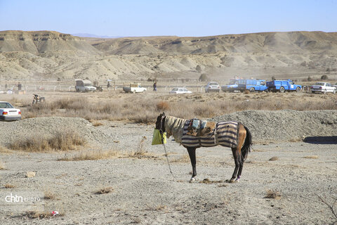 رقابت اسب‌های اصیل ترکمن در باغلق راز و جرگلان