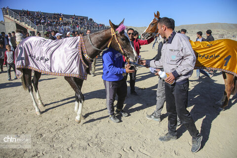 رقابت اسب‌های اصیل ترکمن در باغلق راز و جرگلان