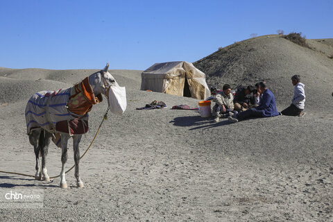 رقابت اسب‌های اصیل ترکمن در باغلق راز و جرگلان