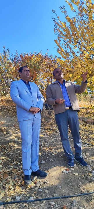 اعلام آمادگی یک سرمایه‌گذار برای اجرای طرح بزرگ گردشگری در شهرستان دنا