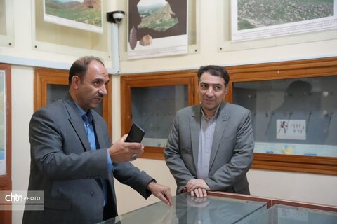 برزین ضرغامی