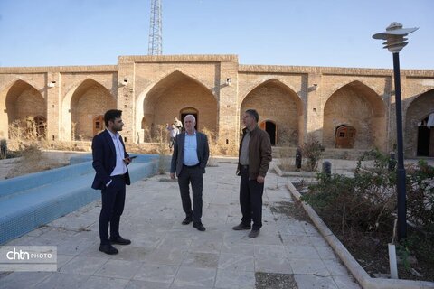 برزین ضرغامی