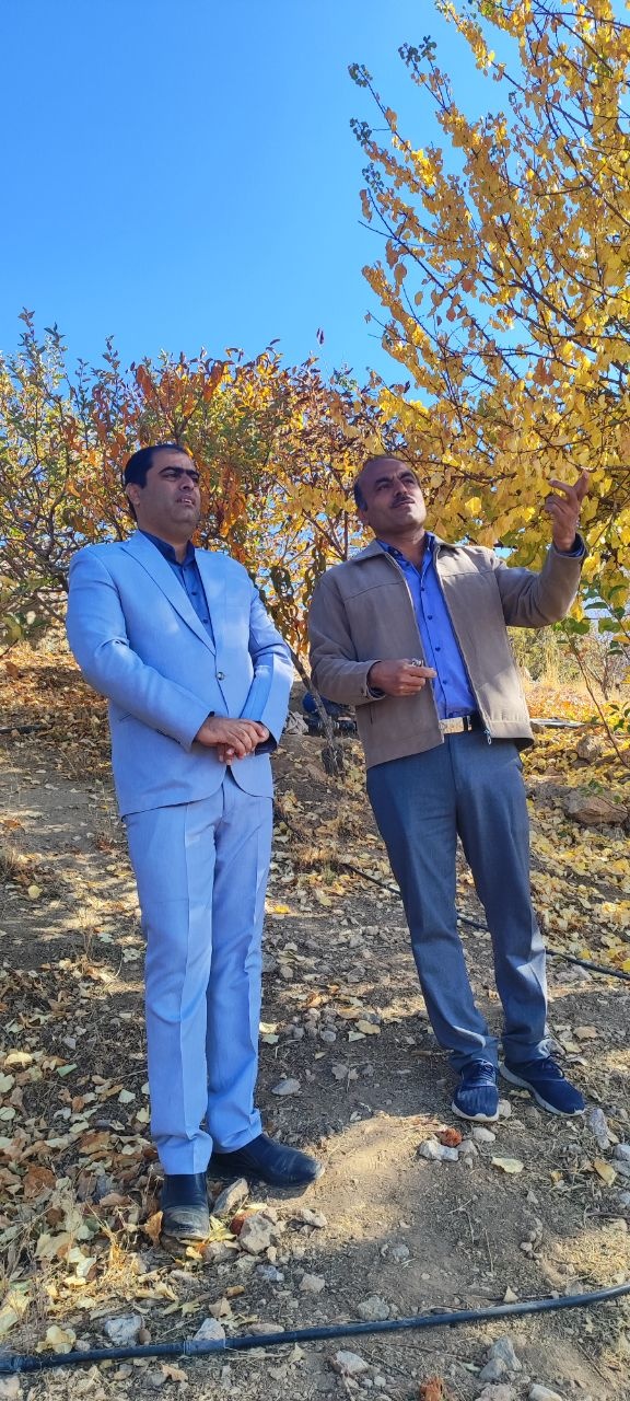 اعلام آمادگی یک سرمایه‌گذار برای اجرای طرح بزرگ گردشگری در شهرستان دنا