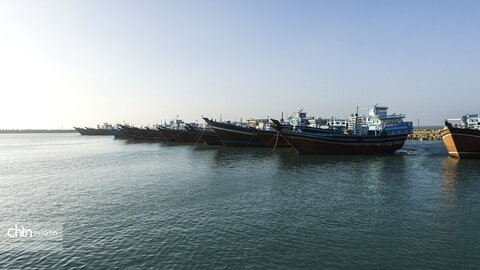 لنج‌ها نماد کهن دریانوردی جنوب ایران‌اند؛ چوبی، زیبا و استوار، که قرن‌هاست امواج خلیج فارس را می‌شکافند و قصه‌ی تجارت، تلاش و زندگی مردمان دریا را روایت می‌کنند