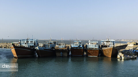 لنج‌ها نماد کهن دریانوردی جنوب ایران‌اند؛ چوبی، زیبا و استوار، که قرن‌هاست امواج خلیج فارس را می‌شکافند و قصه‌ی تجارت، تلاش و زندگی مردمان دریا را روایت می‌کنند