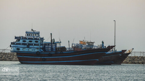 لنج‌ها نماد کهن دریانوردی جنوب ایران‌اند؛ چوبی، زیبا و استوار، که قرن‌هاست امواج خلیج فارس را می‌شکافند و قصه‌ی تجارت، تلاش و زندگی مردمان دریا را روایت می‌کنند