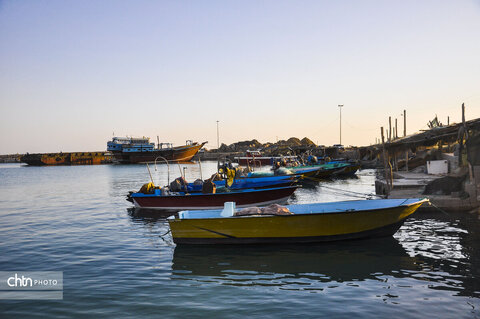 لنج‌ها نماد کهن دریانوردی جنوب ایران‌اند؛ چوبی، زیبا و استوار، که قرن‌هاست امواج خلیج فارس را می‌شکافند و قصه‌ی تجارت، تلاش و زندگی مردمان دریا را روایت می‌کنند