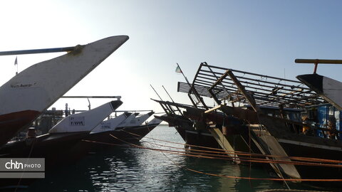 لنج‌ها نماد کهن دریانوردی جنوب ایران‌اند؛ چوبی، زیبا و استوار، که قرن‌هاست امواج خلیج فارس را می‌شکافند و قصه‌ی تجارت، تلاش و زندگی مردمان دریا را روایت می‌کنند