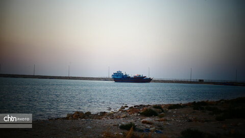 لنج‌ها نماد کهن دریانوردی جنوب ایران‌اند؛ چوبی، زیبا و استوار، که قرن‌هاست امواج خلیج فارس را می‌شکافند و قصه‌ی تجارت، تلاش و زندگی مردمان دریا را روایت می‌کنند