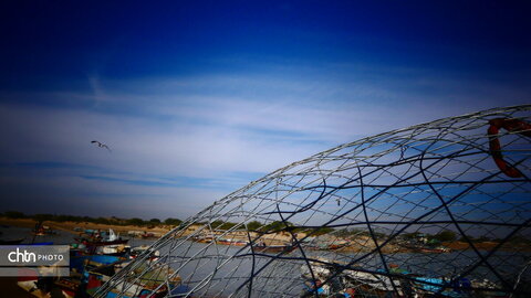 لنج‌ها نماد کهن دریانوردی جنوب ایران‌اند؛ چوبی، زیبا و استوار، که قرن‌هاست امواج خلیج فارس را می‌شکافند و قصه‌ی تجارت، تلاش و زندگی مردمان دریا را روایت می‌کنند