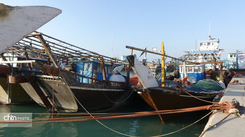 لنج‌ها نماد کهن دریانوردی جنوب ایران‌اند؛ چوبی، زیبا و استوار، که قرن‌هاست امواج خلیج فارس را می‌شکافند و قصه‌ی تجارت، تلاش و زندگی مردمان دریا را روایت می‌کنند